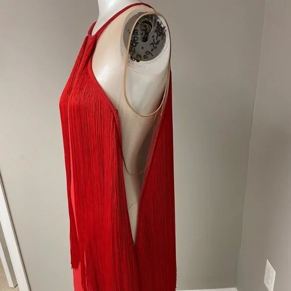 Sleeveless Illusion Wing Fringe Stretch-cady Mini Dress - Picture 8 of 13